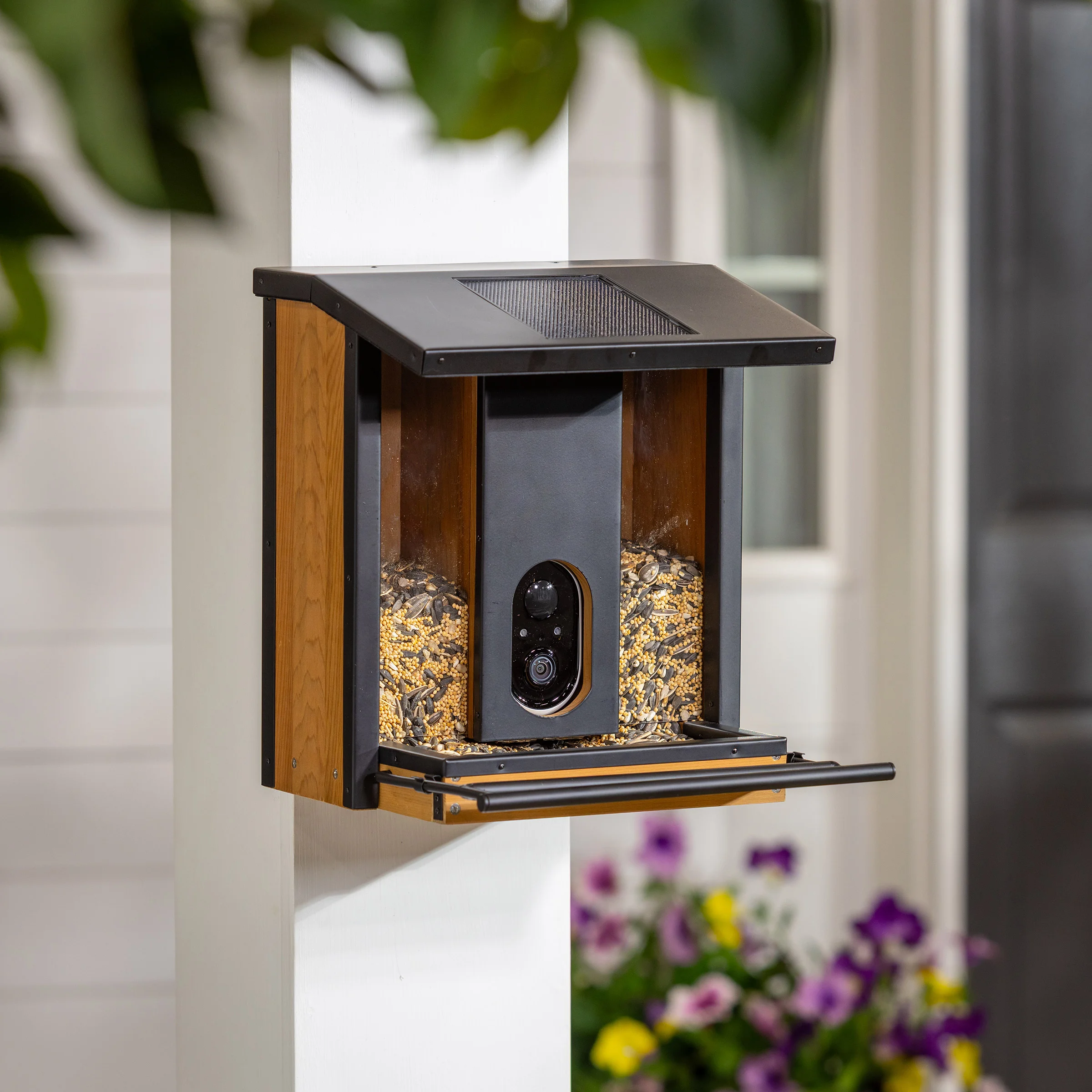 Solar Bird Feeder