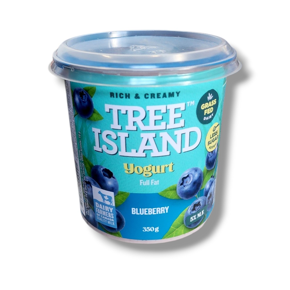 Tree Island Yogurt Blueberry (350g)