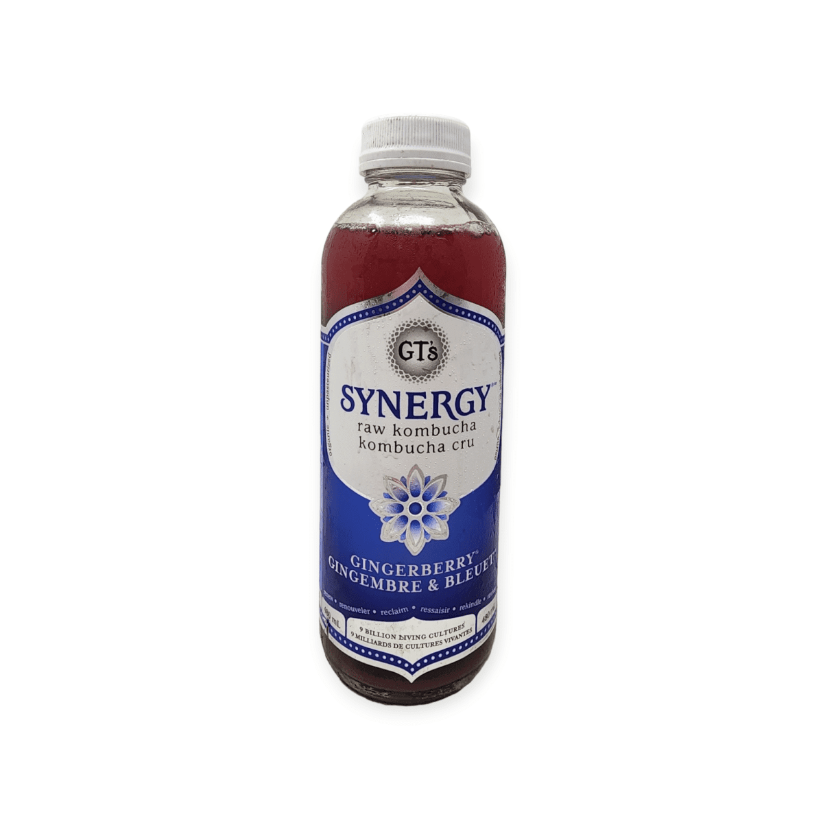 Gts Synergy Gingerberry (480mL)