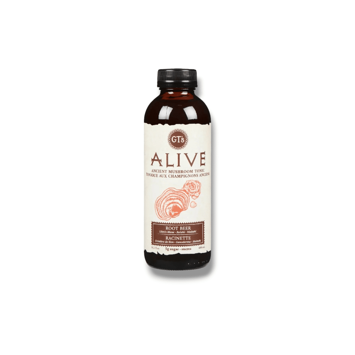 Gt's Alive Ancient Mushroom Tonic Root Beer (480mL)