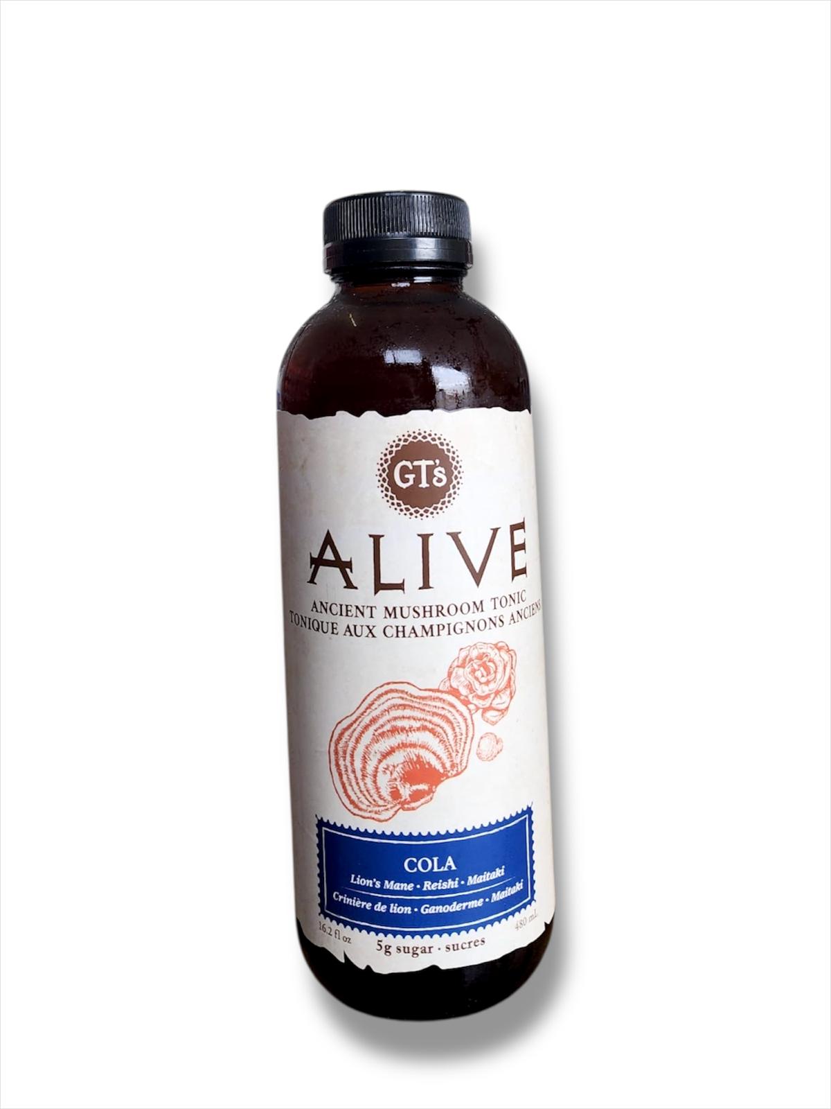 Gt's Alive Ancient Mushroom Tonic Cola Lion's Main (480mL)